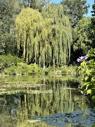 Giverny / Jardins de Claude Monet