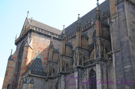 Colmar
