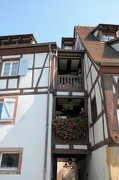 Colmar