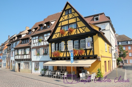 Colmar