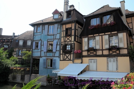 Colmar