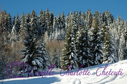 Saint Gervais