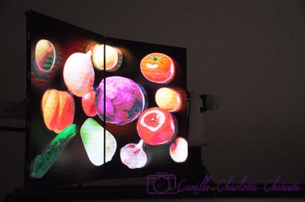 Expo Universelle Milan