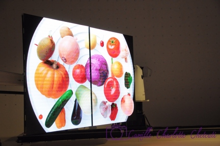 Expo Universelle Milan