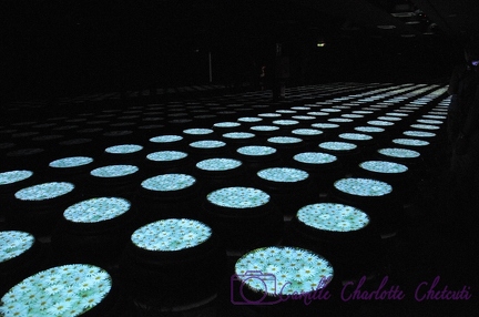 Expo Universelle Milan