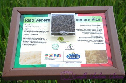 Expo Universelle Milan