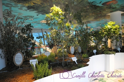 Expo Universelle Milan