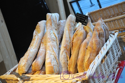 Expo Universelle Milan