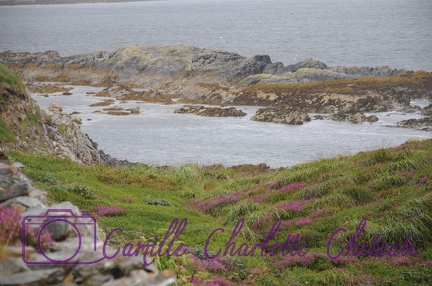 Irlande