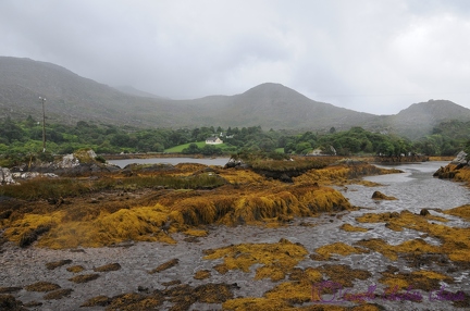 Irlande