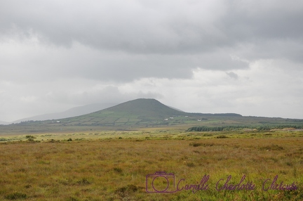 Irlande