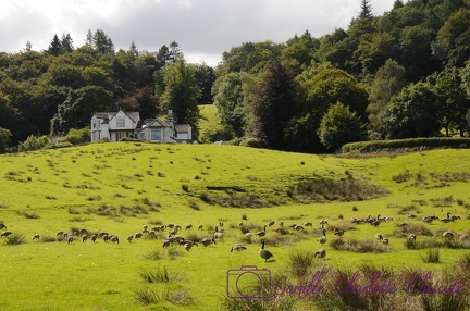 UK - Lake District