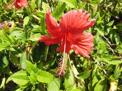 Punta Cana