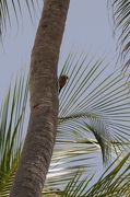 Punta Cana