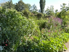 Jardins de Claude Monet