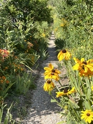Jardins de Claude Monet
