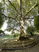 Jardins de Claude Monet