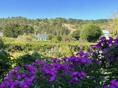 Jardins de Claude Monet