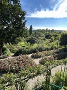 Jardins de Claude Monet